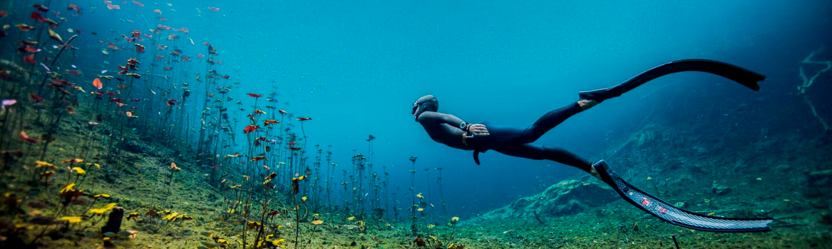 Free-diving-DB-1